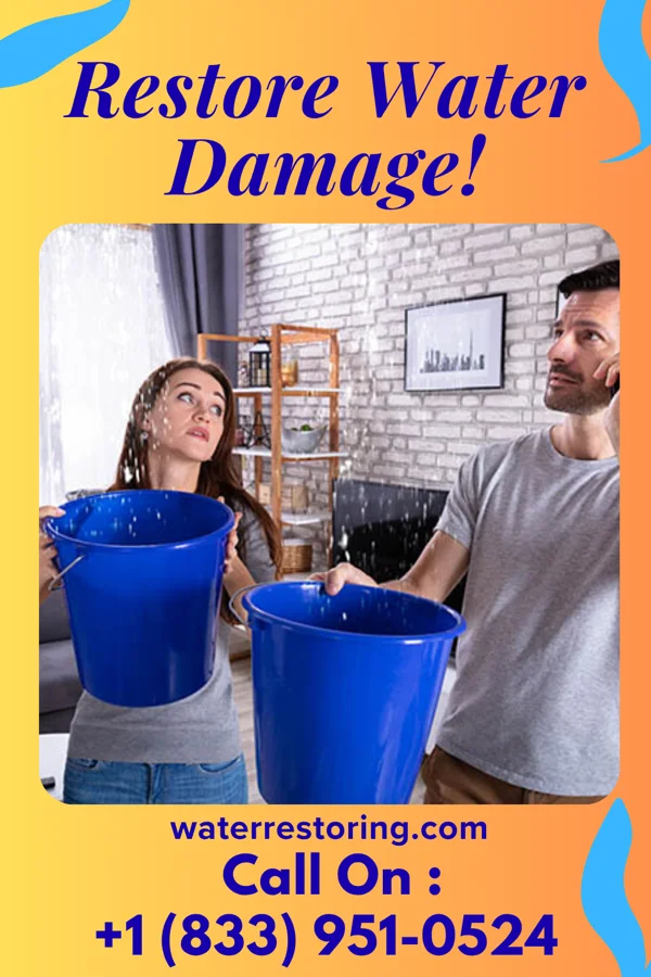 water restoration Precision Water Damage Network St. George Island